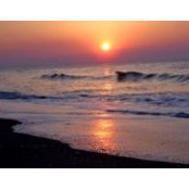 Shirley Jeffcoat's photo