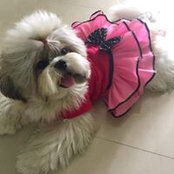 Grace Delos Reyes's photo