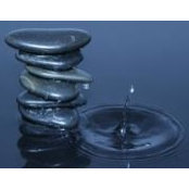 Laurie Gilkes's photo