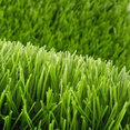 Advanced Grass's profile photo