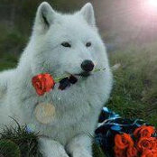 Cheryl Van Buren's photo