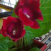 Pbts Reservation's photo