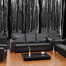 Media Room