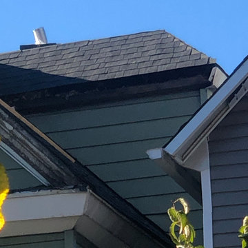 Complete  shingle roof demo