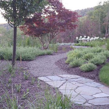 Path through the cat mint, grasses and daisie