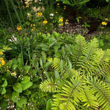 Landscape Ideas
