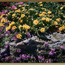 Natural Landscapes
