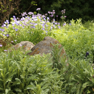 PETITE WILD MEADOW