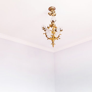 Chicago Townhome- Color Consult