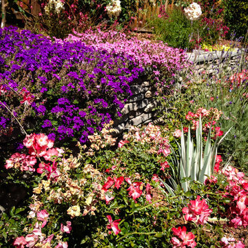 Flower Power