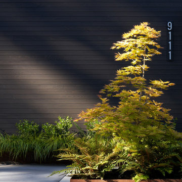 Landscape at Makai House