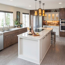contemporary kitchen