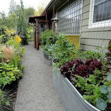 Sideyard