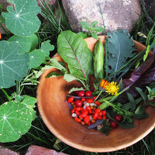 permaculture contractors