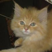 Photo de Alaa Elfatah