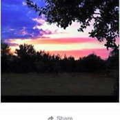 DeAnn Mazrimas's photo