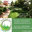 Better Than Real Artificial Grass