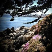 Shelli Shortt's photo