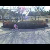 Dominic & Amy Thiel's photo