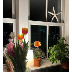 Jo’s Interiors