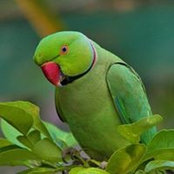 Foto de John Webster