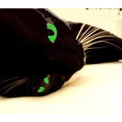 Cher Case's photo