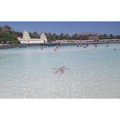Daniel Kim's photo