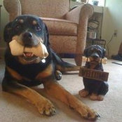 Irene Schmidt's photo