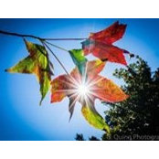 Estar McMillan's photo