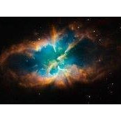 Bradley McClish's photo