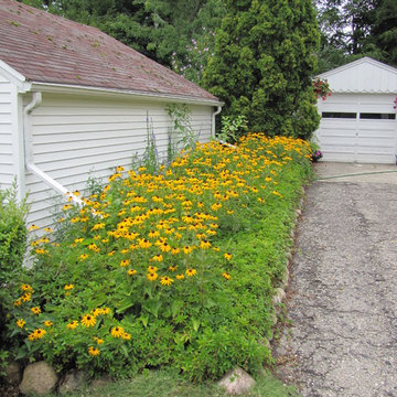 Native Perennial Gardens