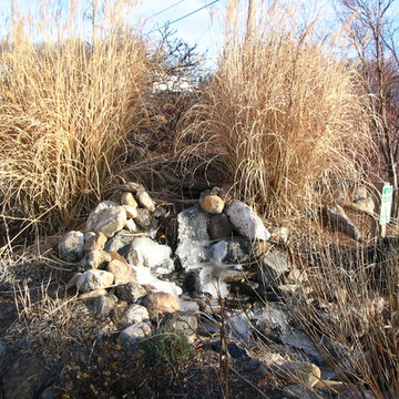 TJB-INC Display Gardens & Ponds - 12 Crestway Hamden