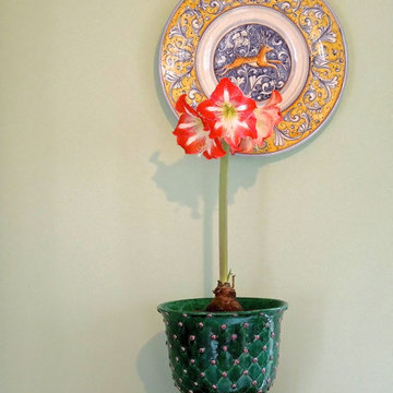 Bonechi Imports Italian Ceramics
