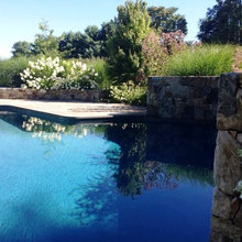 Dwyer Backyard