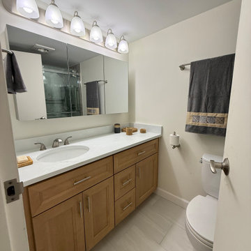 Two-Bathroom Remodel with Accessible Upgrades in Arlington, VA