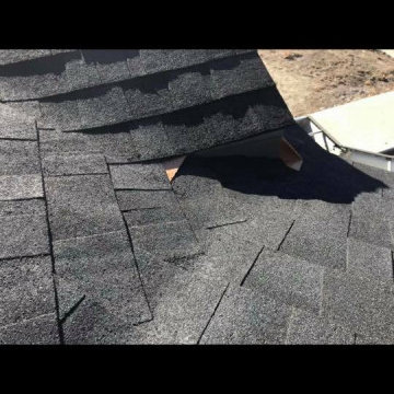 Shingle Roofing