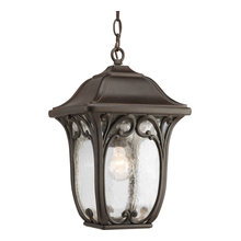 Outdoor hanging light