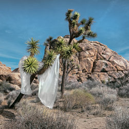 UNTITLED - Limited Ed. #1 of 15 - Fine Art Prints