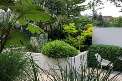 Diseño de jardín actual grande en patio trasero con exposición total al sol