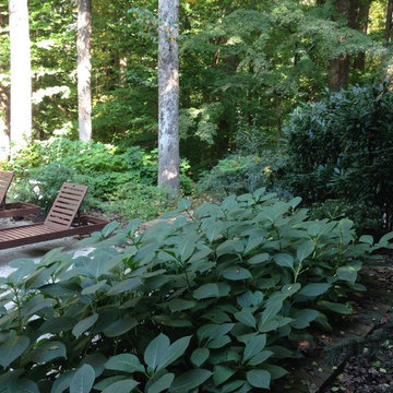 Deer Fencing