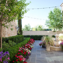 frontyard