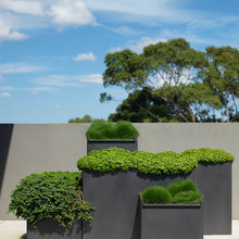 Garden Rooftop