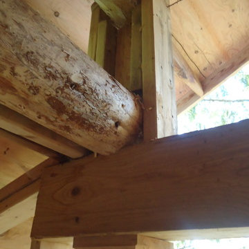 The WellHaus