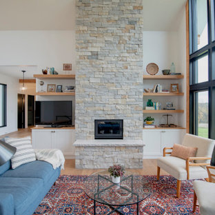 75 Beautiful Living Room Pictures Ideas Houzz