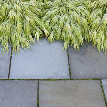Beech Ledge