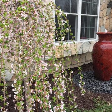 Vase Fountains