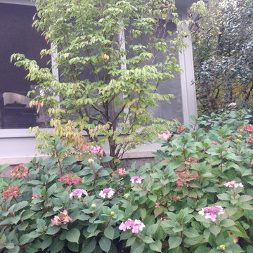 Flowering Porch Planting - Pittsford, NY