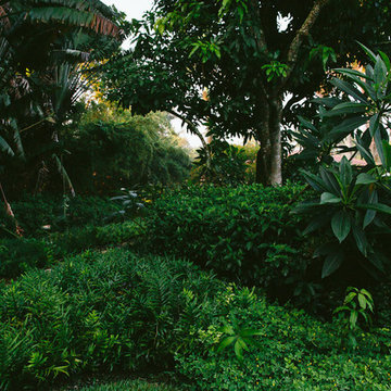 Fort Lauderdale, Florida - Landscape Design
