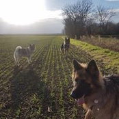 Laura Stephenson's photo