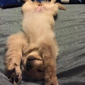 Kristin Stull's photo